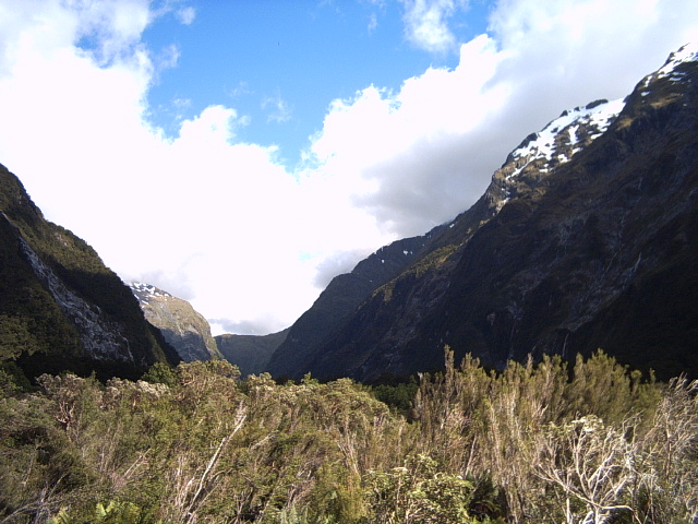 milford track valley view Clinton Valley on the Milford Track, New Zealand