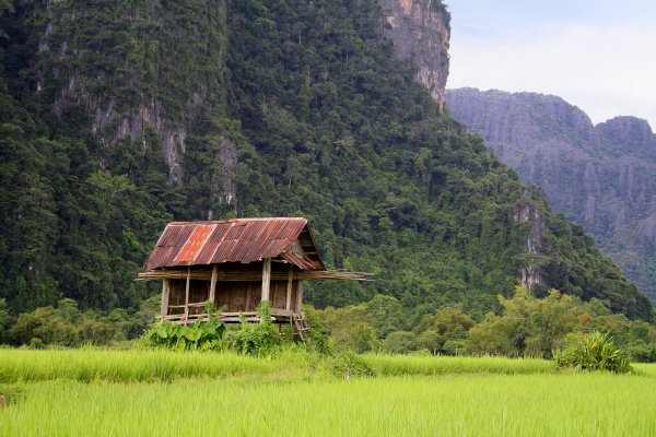vang vieng rice field shed A shed in a rice field in Vang Vieng, Laos