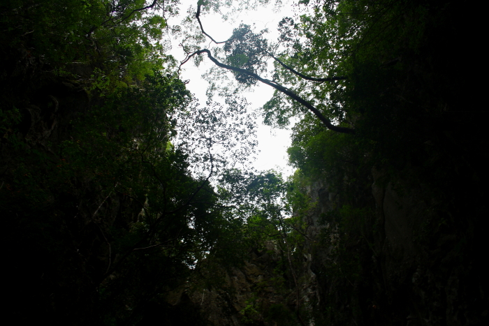 sea canoeing cave walls Sea canoeing in Phang Nga Bay, Thailand
