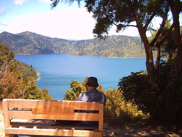 queen charlotte track rest Having a rest on the Queen Charlotte Track, New Zealand