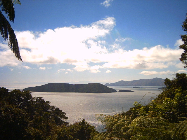 queen charlotte track sea view Views of Queen Charlotte Sound on the Queen Charlotte Track, New Zealand