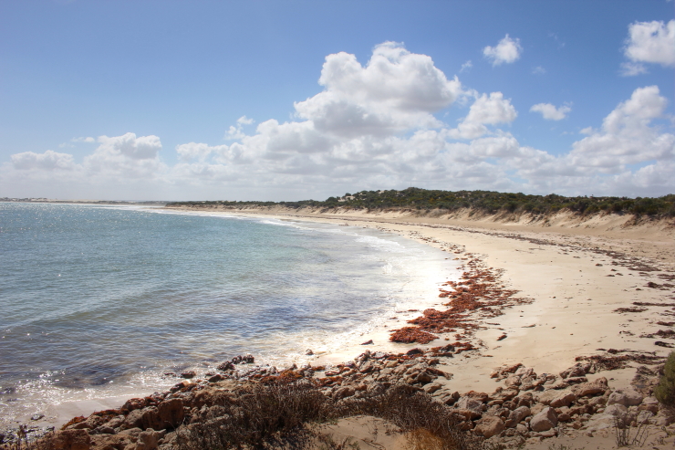 Beaches, Bays and Sea Lions on the Eyre Peninsula, South Australia