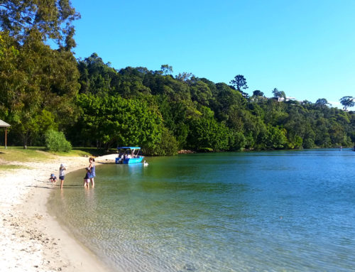 Things to do in Noosa